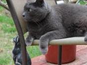 401K Changes That Would Work