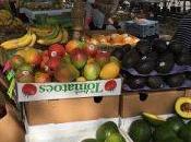 Florida’s Oldest Largest Flea Market