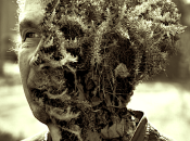 Fertilisers Make Plants Sicker