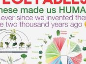 Modern Vegetables Result Artificial Selection
