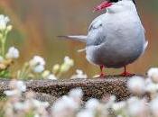 Announce Isle Photo Competition Winners