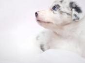 Truth Comes Those Real