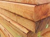 Complete Guide Buying Best Shed