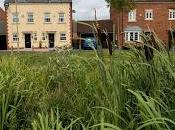 Houses Flood Risk Existing Homes