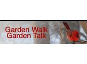 Hand Feeding Wild Birds