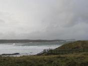 Wild Atlantic Waves