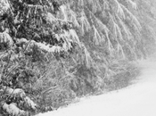 Through Portland Winter Without Breaking Bank