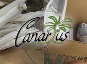 Discover Ship Canarius.com