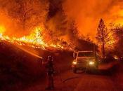Astounding Ways Protect Home From Deadly Wildfires