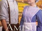 Amish Weddings Leslie Gould