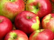 Apple Cider Vinegar Benefits Zenith Nutrition