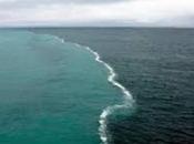 Largest Oceans Seas Entire World