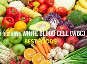 Increase White Blood Cell (WBC) Count Best Tips