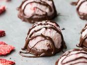 No-Bake Chocolate Dipped Strawberry Macaroons (Gluten-Free, Paleo Vegan)