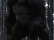 Flash’s “Attack Gorilla City”: Ugly Gorillas, Away