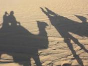 DAILY PHOTO: Shadow Camel Caravan