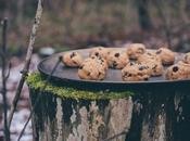 No-Bake Cookie Bites Dough “Contraband” (Gluten-Free)