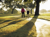 Ease Your Brain Fatigue With Walk Park