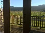 Room With View: Napa Valley (And Unexpected Event)