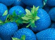 Foodage Juicy Lucy, Beer Yoga Lice Salmon (Grind #108)