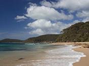 Unforgettable South Coast Beaches Australia