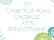 Tips Help Keep Your Home Organized