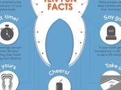 Interesting Facts About Your Teeth