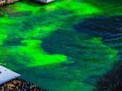 This Timelapse Video Chicago River Dyeing Cool