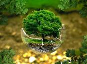 Become Environmentally Friendly Construction Industry