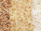 Most Rice Producing Countries Entire World