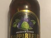 Today's Review: Kopparberg Blueberry Lime Cider