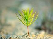 #TreeEra #TreePlanting Reduce #CarbonEmissions #ClimateChange