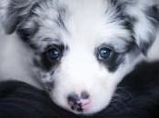 Precognitive Dreams Always Accurate