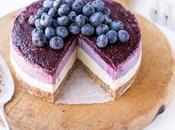 No-Bake Layered Blueberry Cheesecake (Gluten Free, Paleo Vegan)