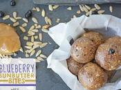 Blueberry Sunbutter Bites Bake)
