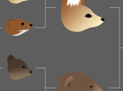 March Mammal Madness 2017: School Science Classes Watch Their Brackets