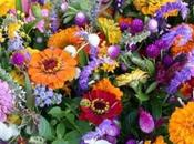 Most Popular Flowers Grown