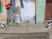 DAILY PHOTO: “Whoa, Déjà Matrix Reference]