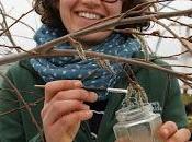 Conservation Breakthrough Scotland’s Rare Aspen Tree