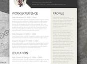 Free Resume Template: Professional Page