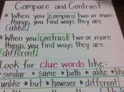 Comparison/Contrast Essays