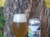 Kool Koala Double Twin Sails Brewing