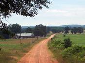 David's Brave Prayer