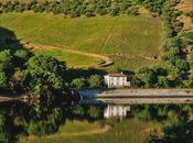 Golden Hour Douro Valley