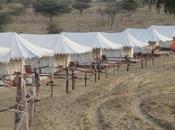 Nature Tradition Closer Desert Camp