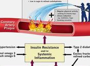 Experts: Popular Belief That Saturated Fats Clog Arteries “Plain Wrong”