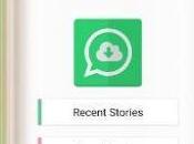 Save Whatsapp Status Photos Videos Your Gallery