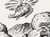 Responding Conservative Nature