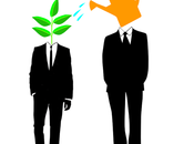 Should Enlist Business Mentor,