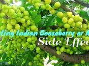 Eating Indian Gooseberry Amla Side Effects